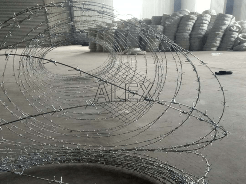 concertina barbed wire
