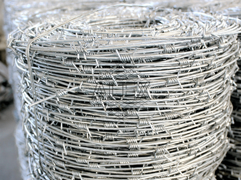 single barbed wire