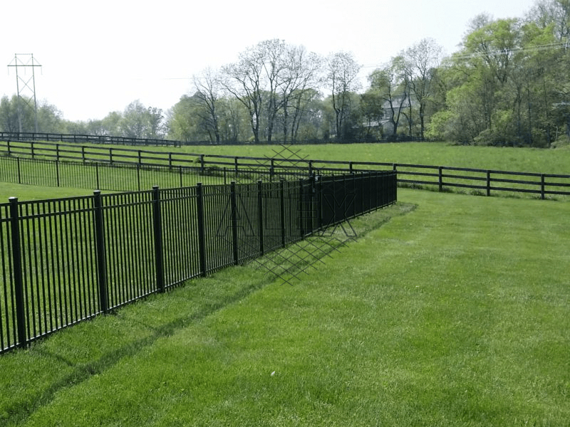 vip fence